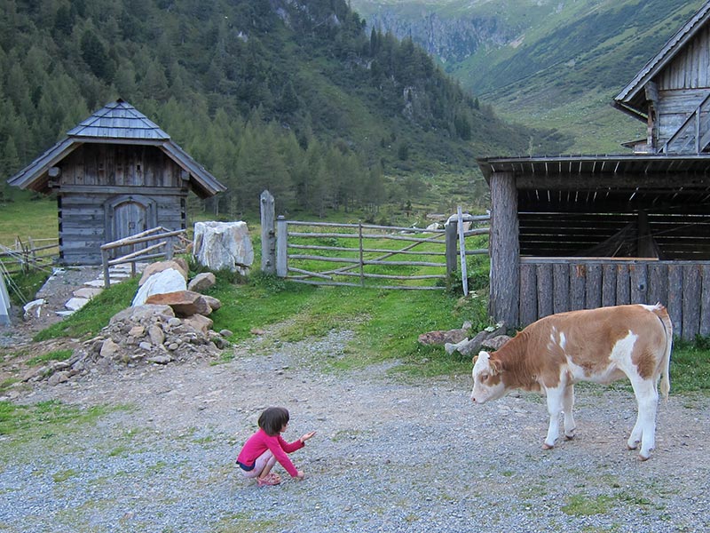 talkenschrein